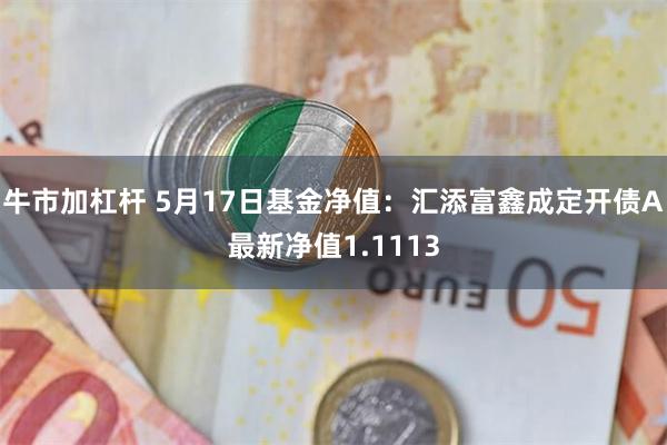 牛市加杠杆 5月17日基金净值：汇添富鑫成定开债A最新净值1.1113