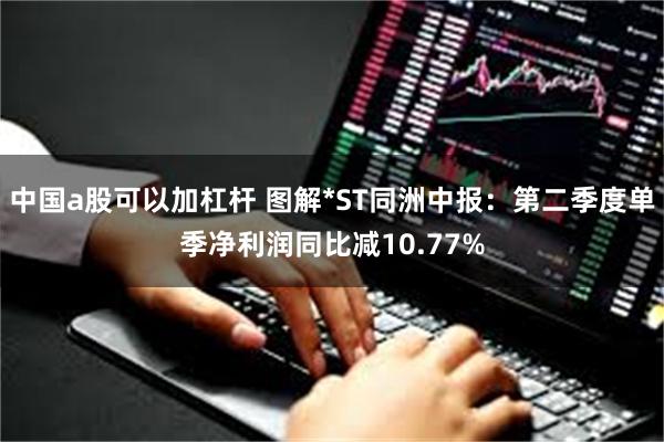 中国a股可以加杠杆 图解*ST同洲中报：第二季度单季净利润同比减10.77%