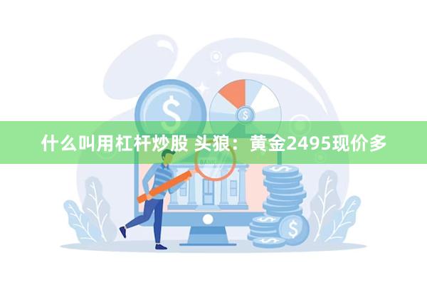 什么叫用杠杆炒股 头狼：黄金2495现价多