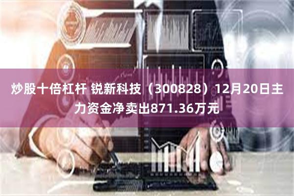 炒股十倍杠杆 锐新科技（300828）12月20日主力资金净卖出871.36万元