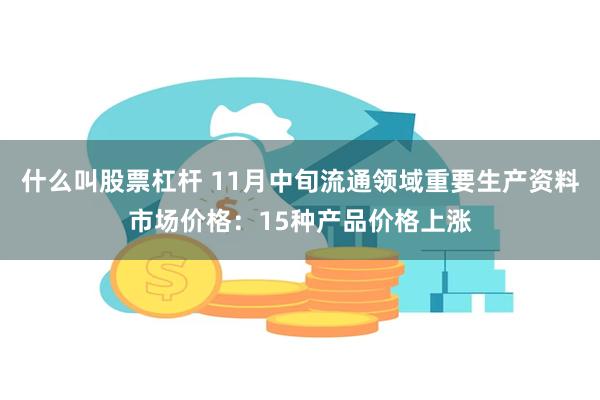 什么叫股票杠杆 11月中旬流通领域重要生产资料市场价格：15种产品价格上涨