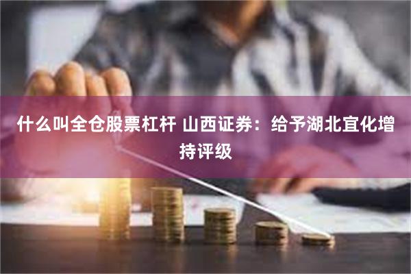 什么叫全仓股票杠杆 山西证券：给予湖北宜化增持评级