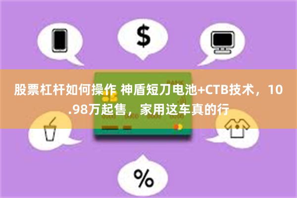 股票杠杆如何操作 神盾短刀电池+CTB技术，10.98万起售，家用这车真的行