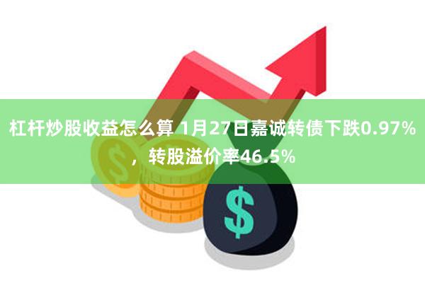 杠杆炒股收益怎么算 1月27日嘉诚转债下跌0.97%，转股溢价率46.5%