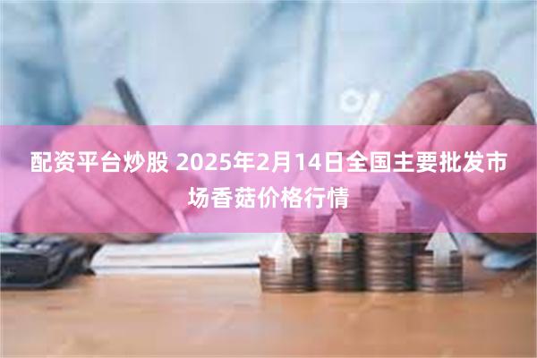 配资平台炒股 2025年2月14日全国主要批发市场香菇价格行情