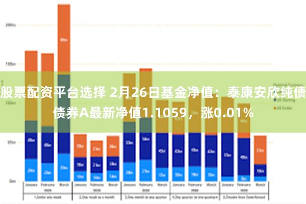 股票配资平台选择 2月26日基金净值：泰康安欣纯债债券A最新净值1.1059，涨0.01%